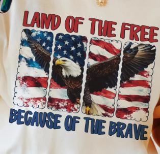 Land of the Free - Eagle