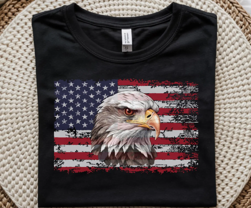 Eagle and Distressed Flag