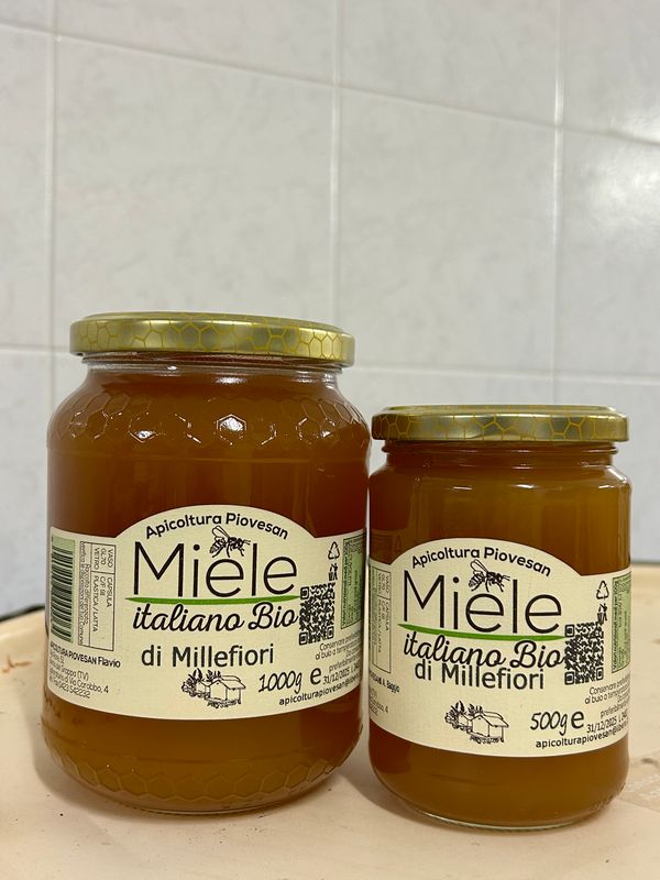 Miele ITALIANO BIO di MILLEFIORI in vaso da 1000g