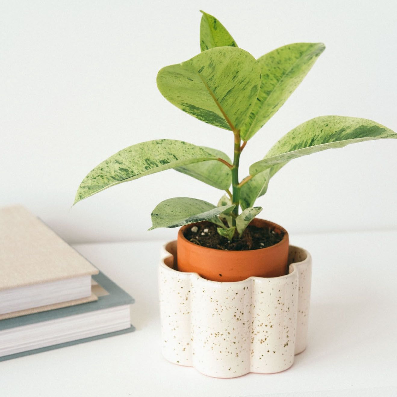 Selfwatering Pot Paula | Speckled White