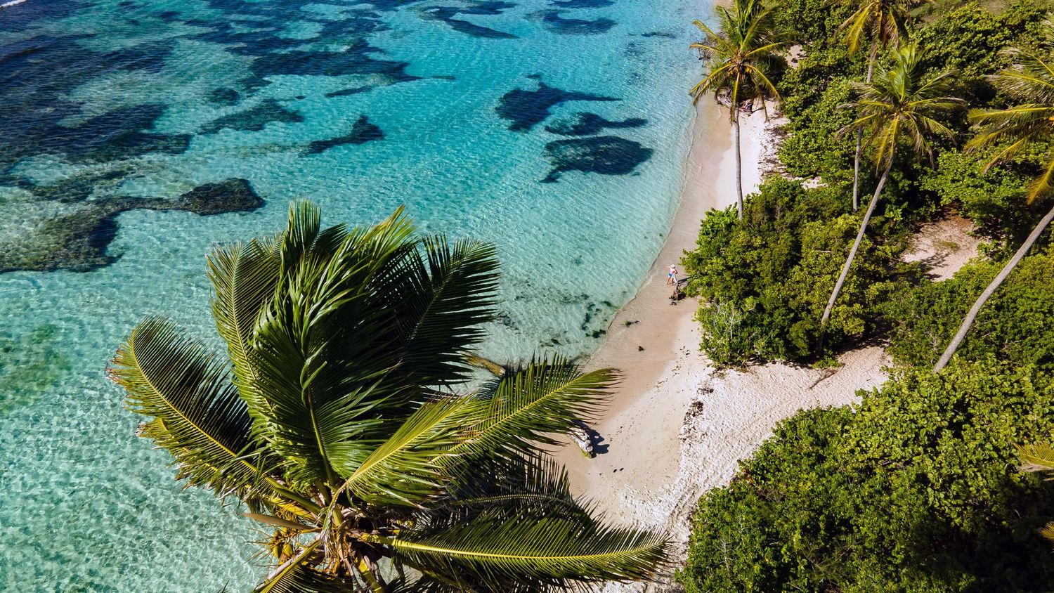 GUADELOUPE 9 JOURS – HOTEL FLEUR D’EPEE*** GOSIER