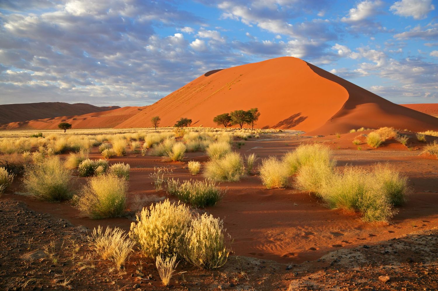 AFRIQUE DU SUD AUTHENTIQUE 12 JOURS