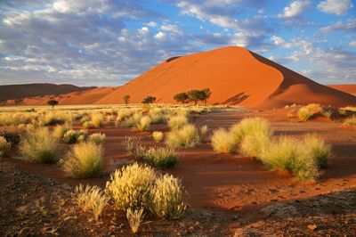 AFRIQUE DU SUD AUTHENTIQUE 12 JOURS