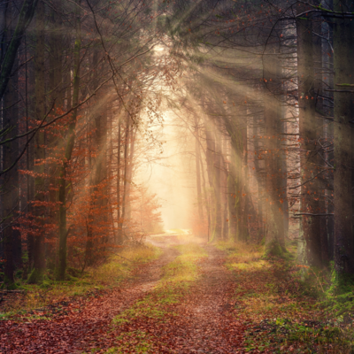 Glimmers - Post Pandemic Emptiness &amp; the Potential for Joy