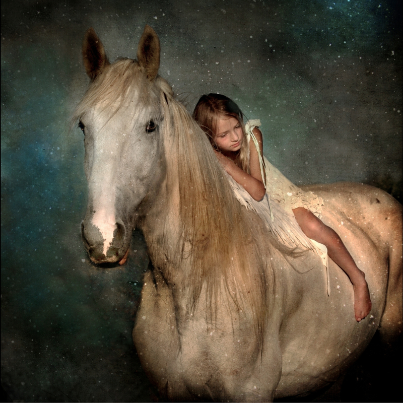 Why Horses Don't Get Autism