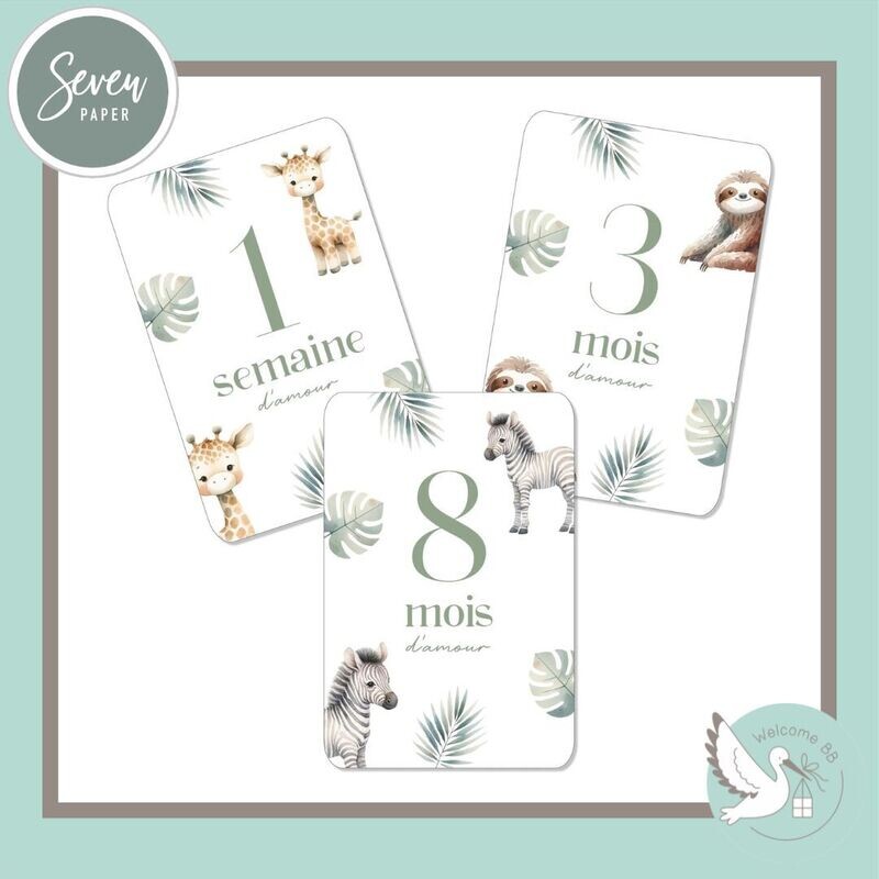 Cartes étapes: Jungle