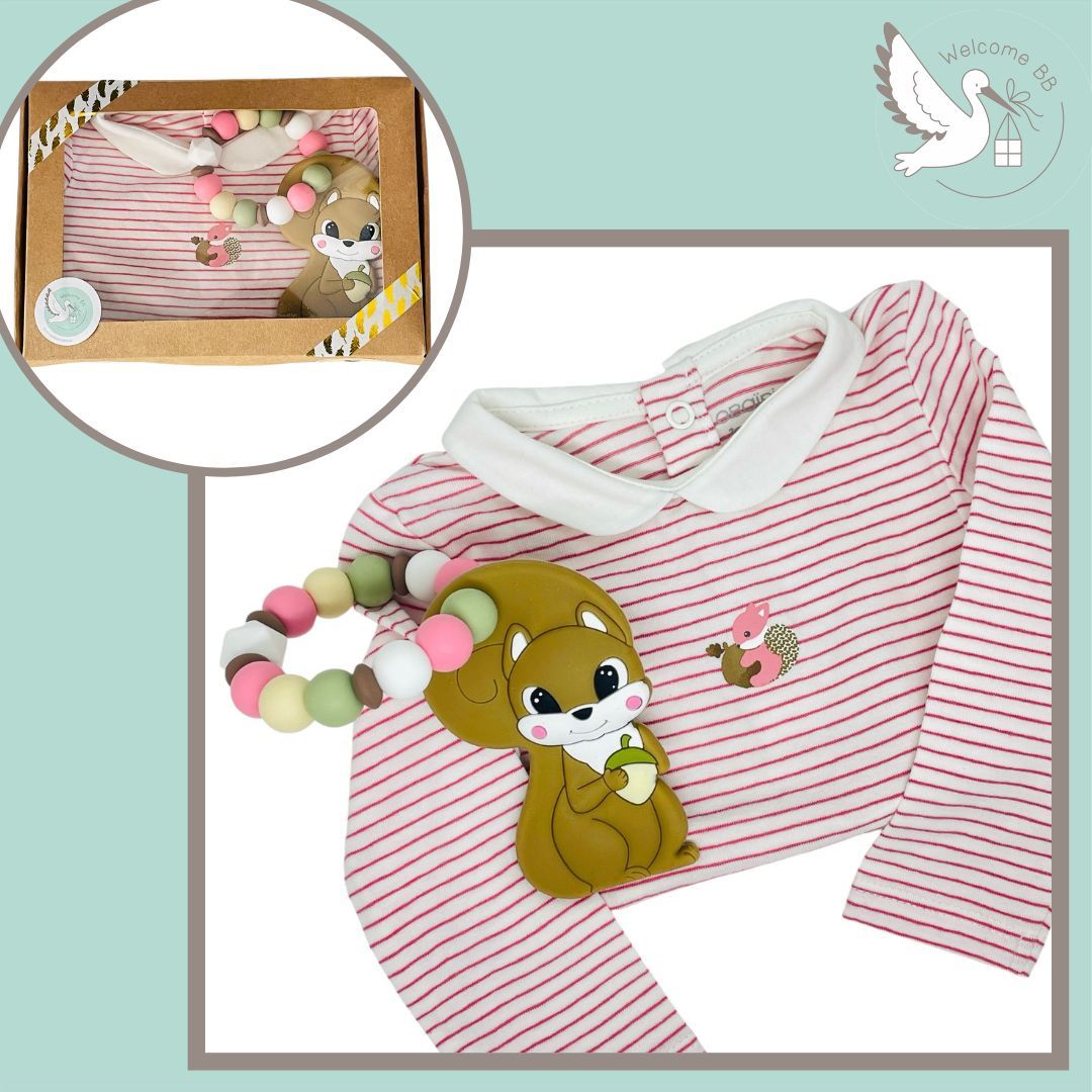 Coffret body : écureuil