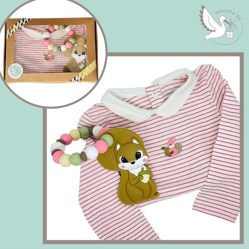 Coffret body : écureuil