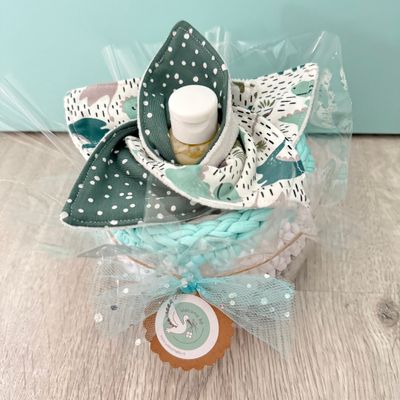 Plante de liniment : Dino