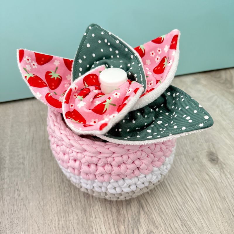Plante de liniment : Fraises