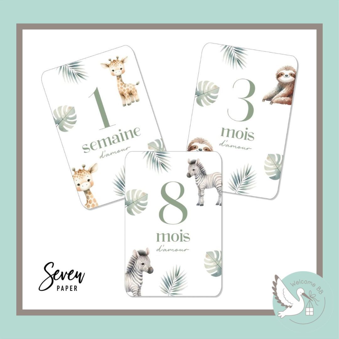 Cartes étapes: Jungle