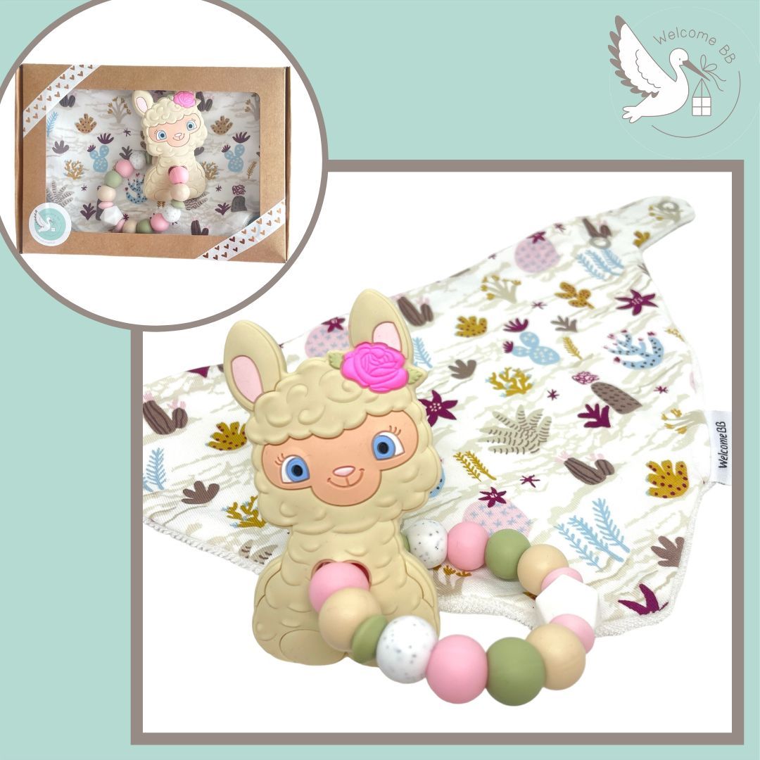 Coffret: Lama Coffret: Lama