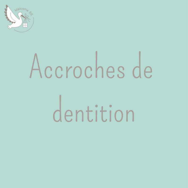 Showroom: Accroches de dentition