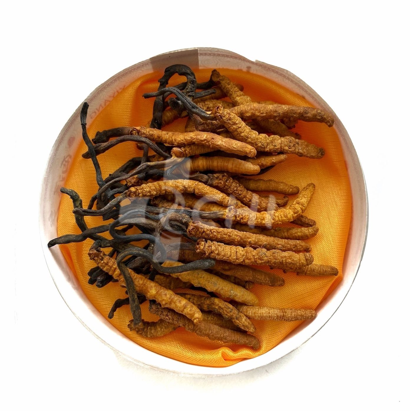 Тибетский ДИКИЙ Кордицепс из предгорий Непала (Cordyceps sinensis) / 14 грамм