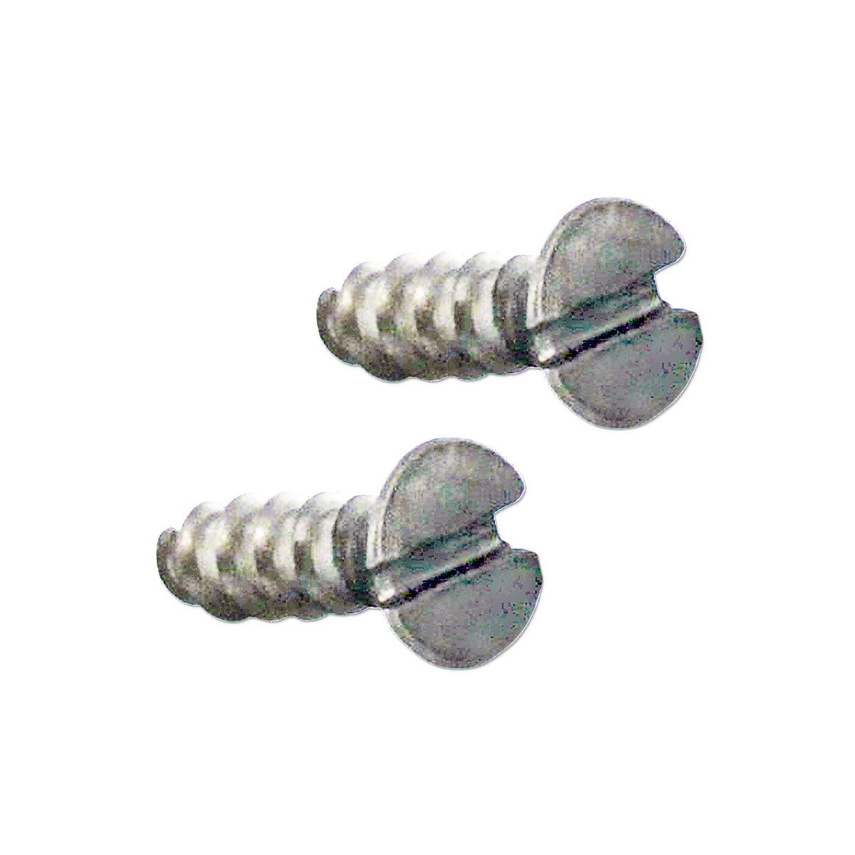 Stainless Steel Emblem Mounting Screw Kit w/ (2) countersunk slotted flathead screws, 350516R1