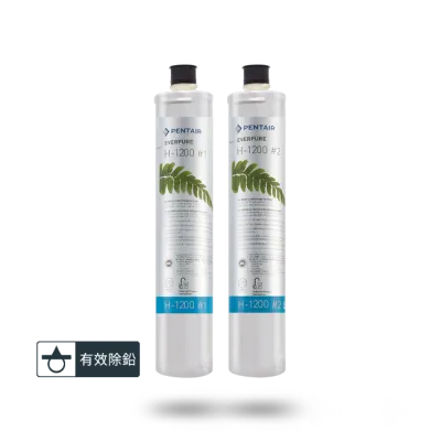 愛惠浦 Everpure  H-1200