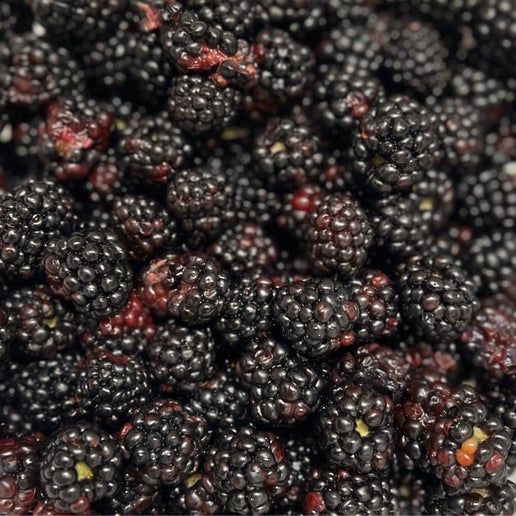 Blackberry Jelly (Sweet/Savory)