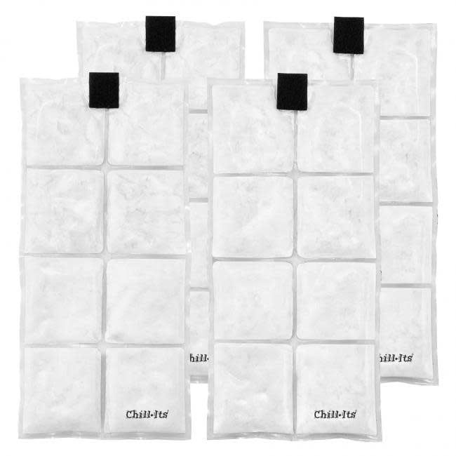 ERGODYNE LIGHTWEIGHT PHASE CHANGE COOLING PACKS 4 PACK 6250 CLEAR