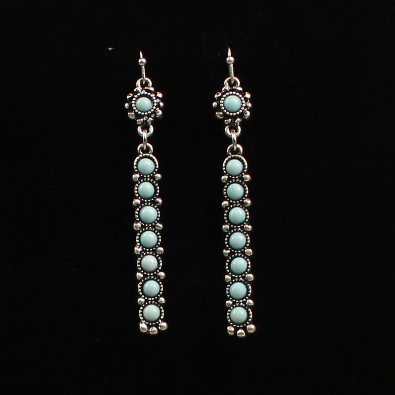 Blazin Roxx Earrings Silver Bars
