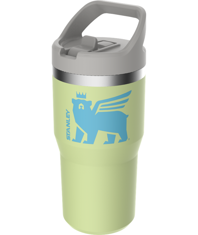STANLEY The IceFlow Flip Straw Tumbler 20 oz