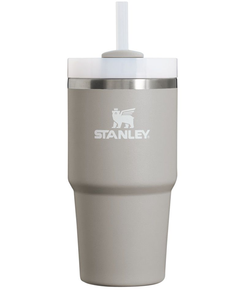 Stanley The Quencher H2.O FlowState Tumbler 20oz, Color: Ash