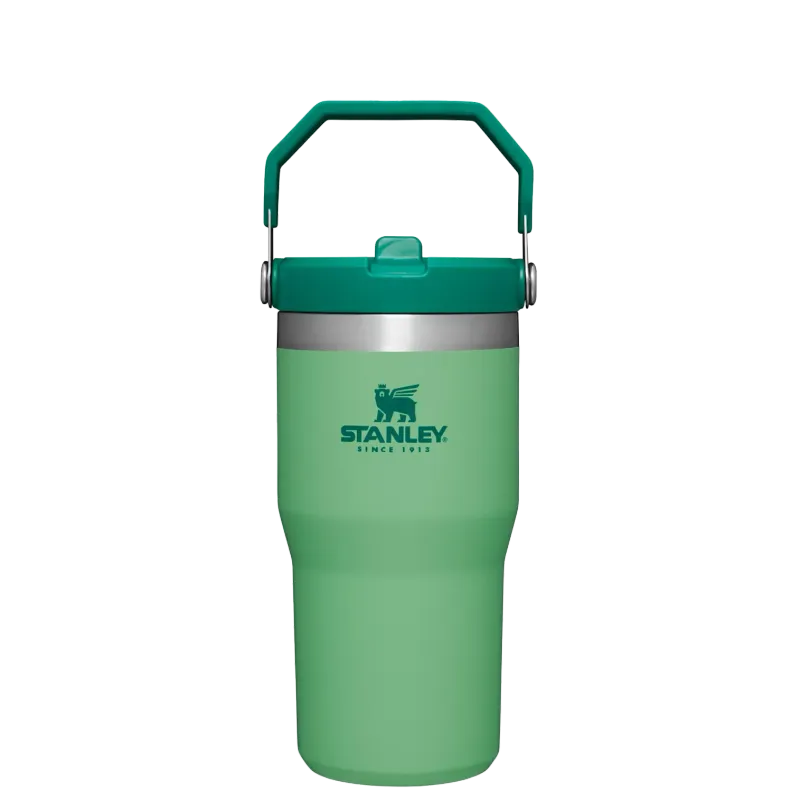 STANLEY The IceFlow Flip Straw Tumbler 20 oz