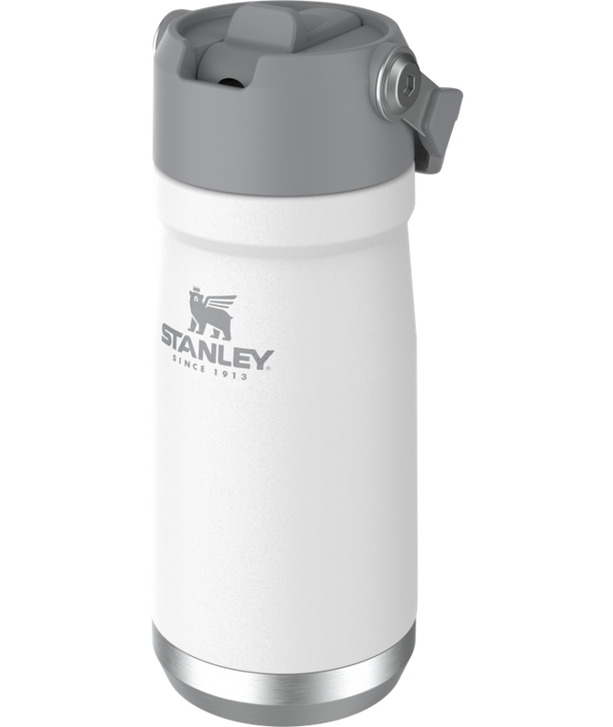 Stanley  The IceFlow Flip Straw Water Bottle 17oz
