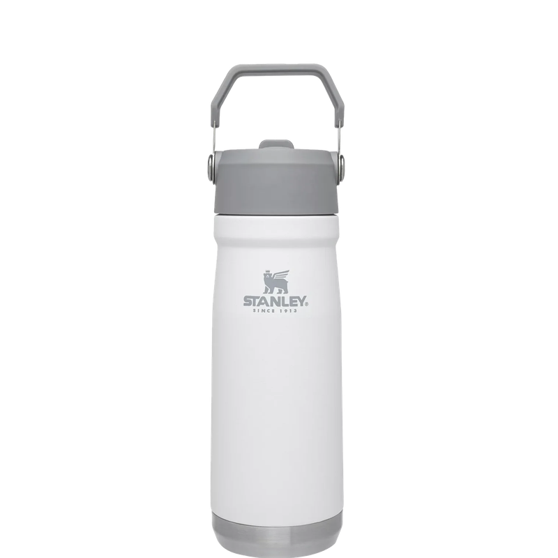 STANLEY The IceFlow Flip Straw Water Bottle 22 oz