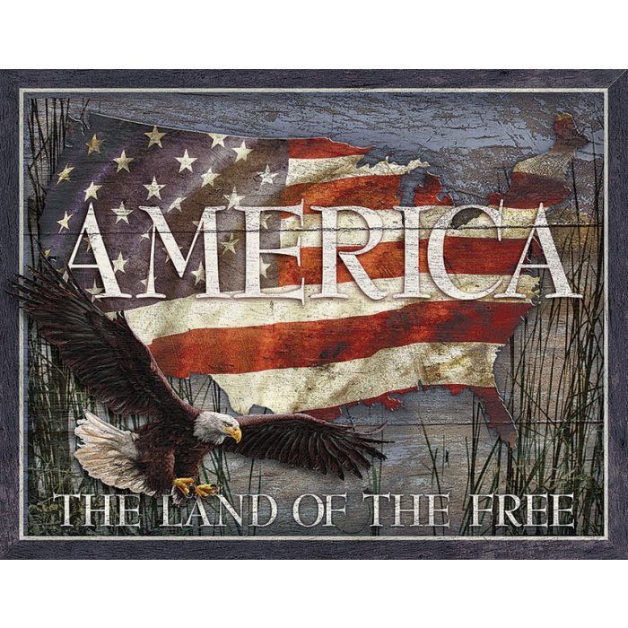 American Land Of Free TSN2159