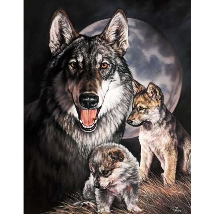 GRAHAM WOLF EXPERIENCE TSN0914