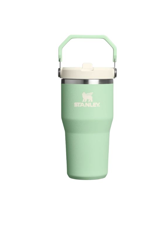 STANLEY The IceFlow Flip Straw 2.0 Tumbler 20 oz