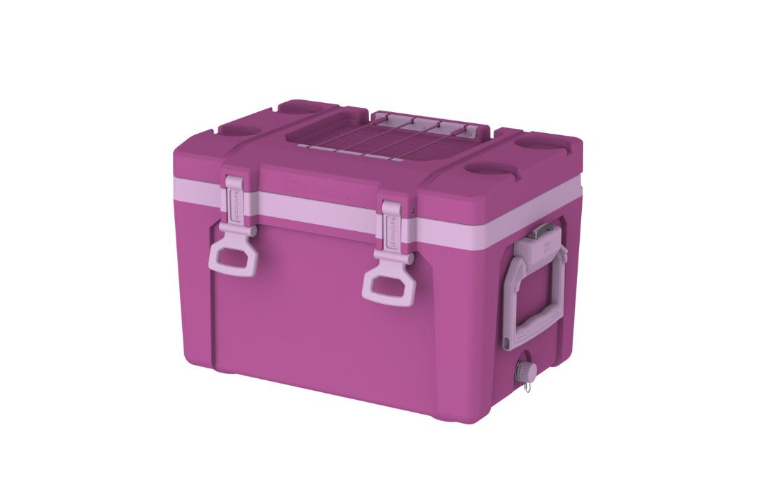 STANLEY The Easy Carry Outdoor Cooler 25 Qt Dark Blossom