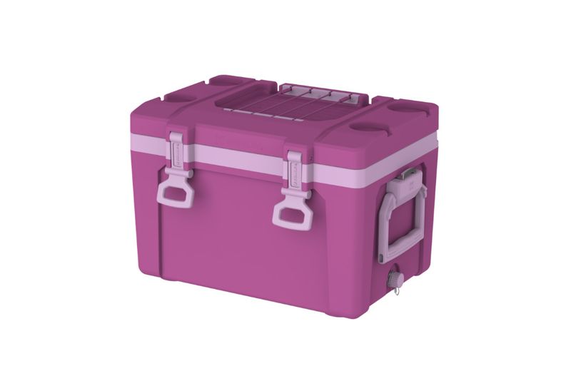 STANLEY The Easy Carry Outdoor Cooler 25 Qt Dark Blossom