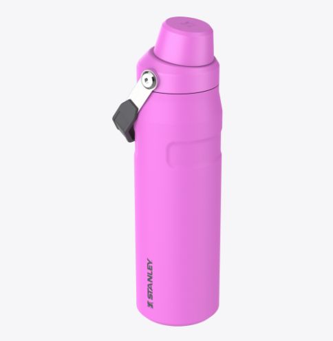 STANLEY The IceFlow Fast Flow Bottle 24 oz