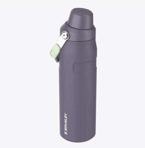 STANLEY The IceFlow Fast Flow Bottle 24 oz