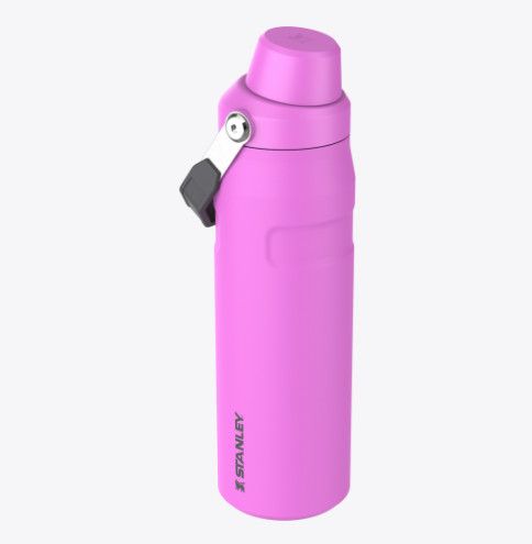 STANLEY The IceFlow Fast Flow Bottle 24 oz STANLEY The IceFlow Fast Flow Bottle 24 oz, Color: Hot Pink