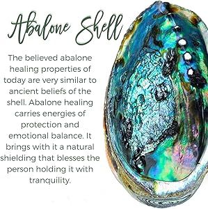 Abalone