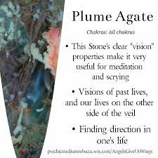 Plume Agate
