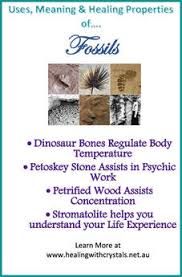 Fossils