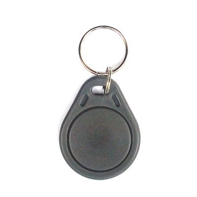 NTAG216 - Key Chain