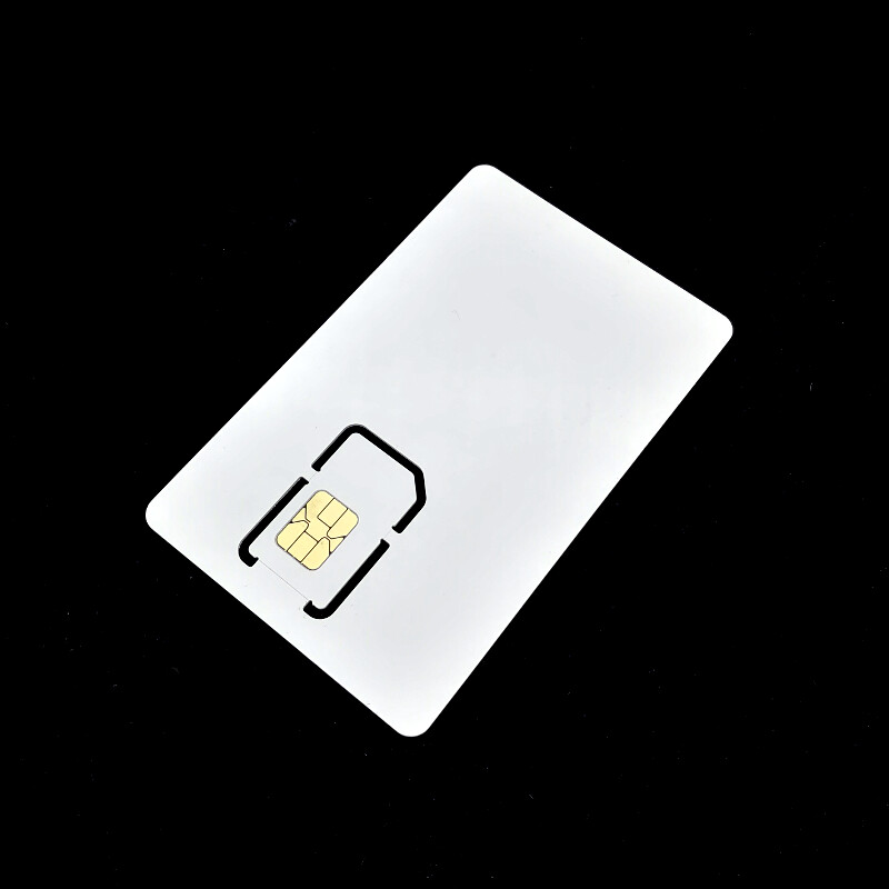 ACOS6-SAM Secure Access Module Contact Card