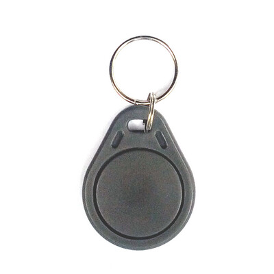 NTAG213 - Key Chain