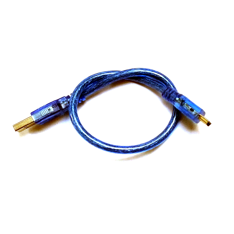 USB Type A to Mini USB Cable - 30cm, Blue