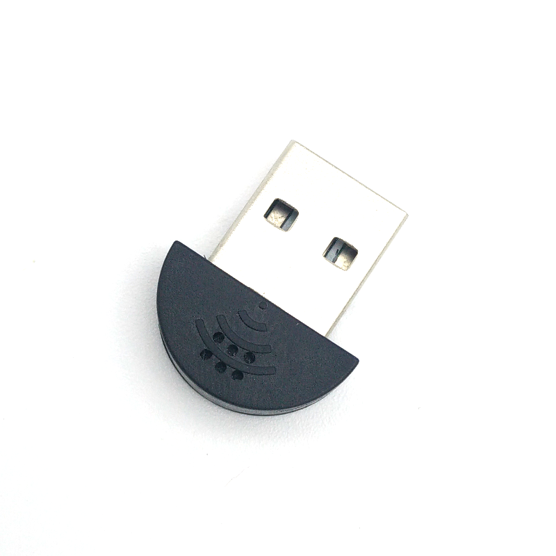 Mini USB Microphone