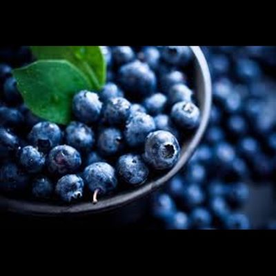 Blueberry / Healthy | Holistic | Hand-Made | All Natural | Gourmet Dog Treats / Crunchy / NO Dyes / NO Preservatives / 25 Count Bag