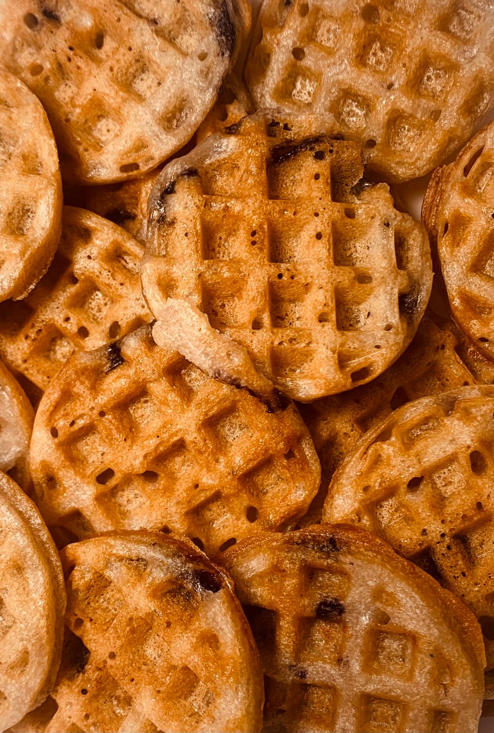 Blueberry / Healthy | Holistic | Hand-Made | All Natural | Gourmet Dog Treats / Crunchy / NO Dyes / NO Preservatives / 25 Count Bag
