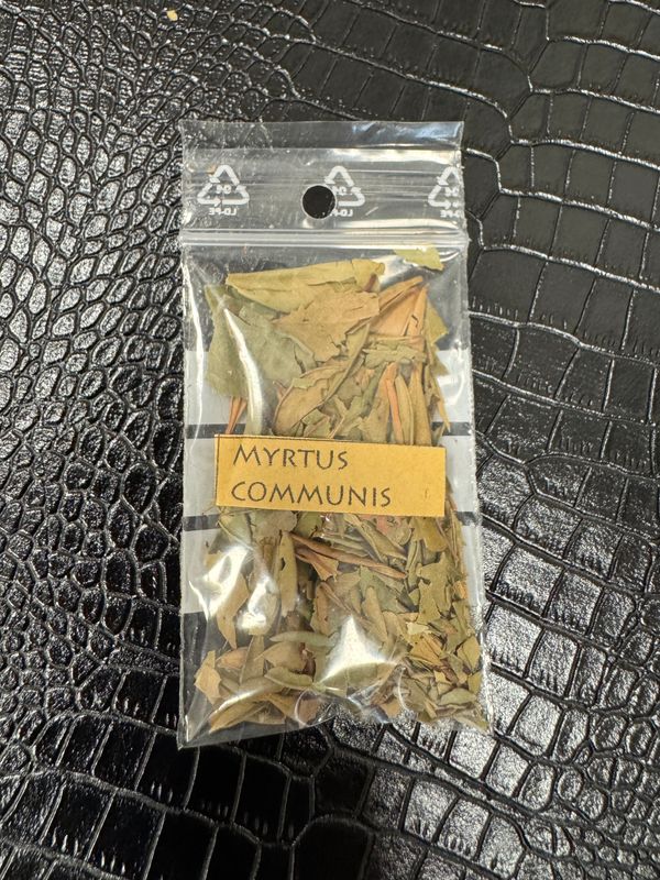 Feuilles de myrte