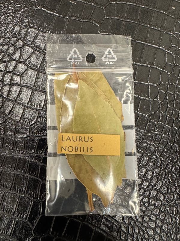 Feuilles de laurier