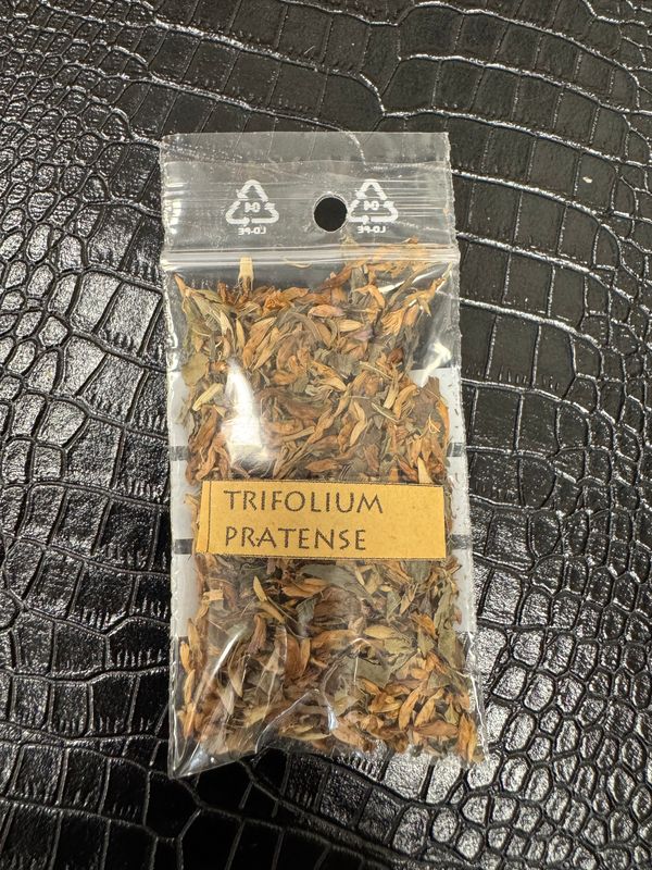 Feuilles de trèfle rouge