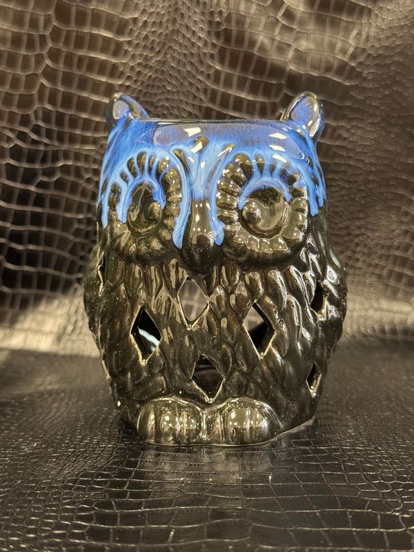 Brûleurs à huile hibou